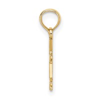 14K Yellow Gold RN Registered Nurse Caduceus Charm view 2