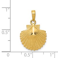 14K Yellow Gold Scallop Shell Pendant view 4