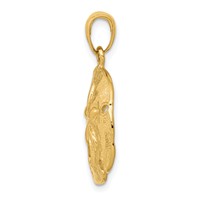 14K Yellow Gold Sand Dollar Pendant view 2