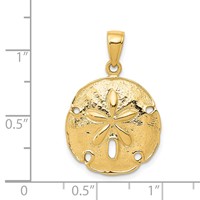 14K Yellow Gold Sand Dollar Pendant view 4