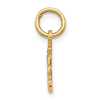 14K Swiss Cheese Charm view 2