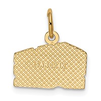 14K Swiss Cheese Charm view 3
