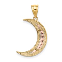 14K Two-tone Pendant with White Rhodium Diamond-cut Moon view 3