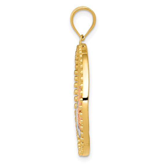 14K Two-tone with White Rhodium Dragonfly in Circle Pendant