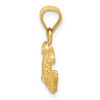 14K Diamond-cut Frog Pendant view 2