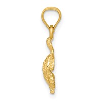 14K Yellow Gold Turtle Pendant view 2