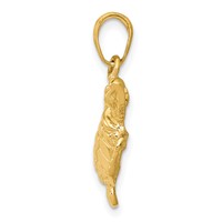 14K Yellow Gold Sea Turtle Pendant view 2