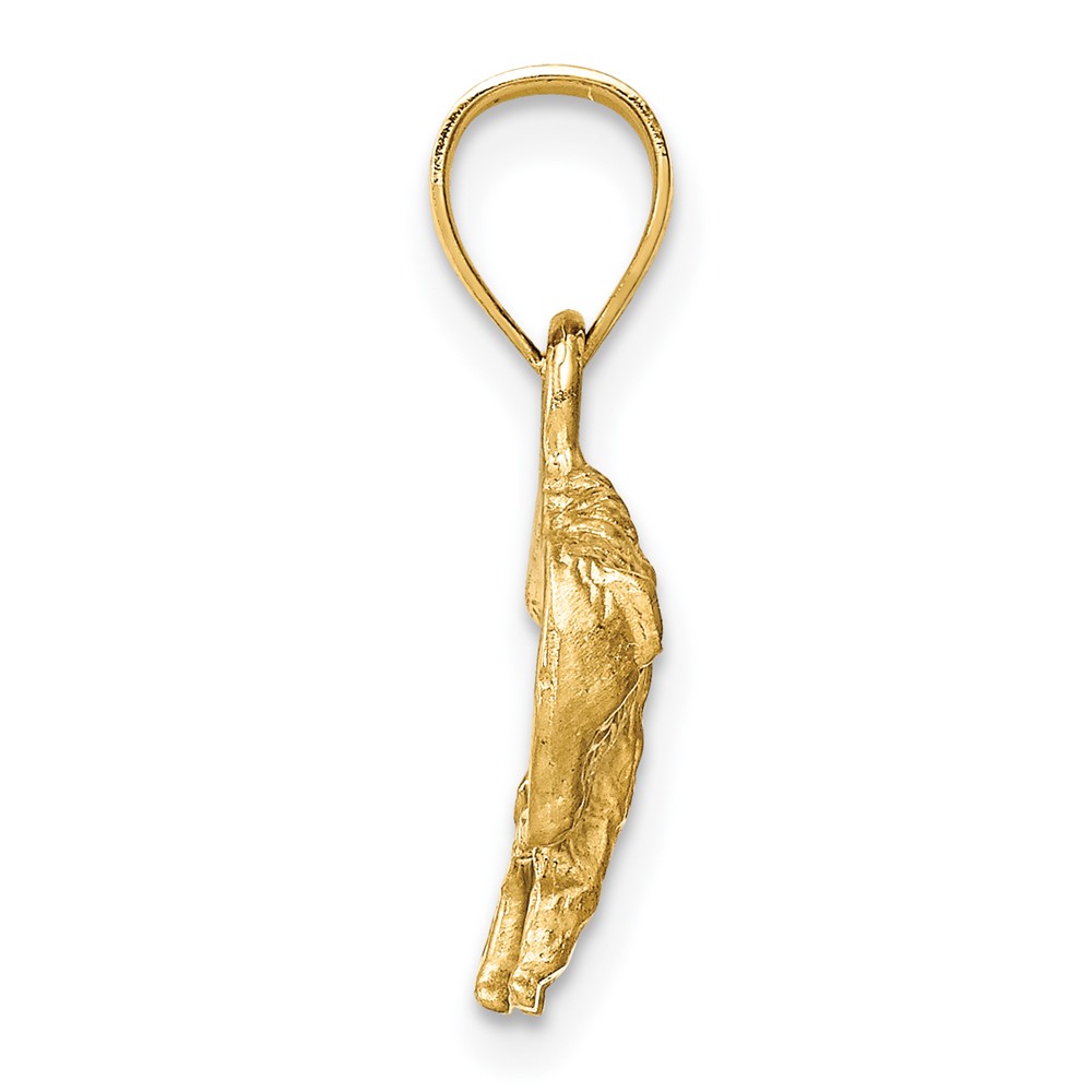 14K Diamond-cut Buffalo Pendant (K3329)