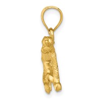 14K Yellow Gold Satin Diamond-cut Monkey Pendant view 2