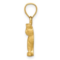 14K Yellow Gold Satin Diamond-cut Cat Pendant view 2