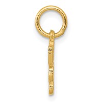 14K Yellow Gold Saint Bernard Dog Charm view 2