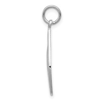 14K White Gold Blessed Virgin Mary Charm view 2