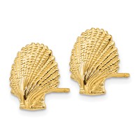 14K Yellow Gold Scallop Shell Post Earrings view 2