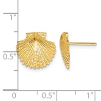 14K Yellow Gold Scallop Shell Post Earrings view 4