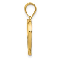 14K Yellow Gold Polished and Satin Mom and Baby Heart Charm view 2