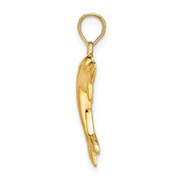 14K Polished Dolphin Charm view 2