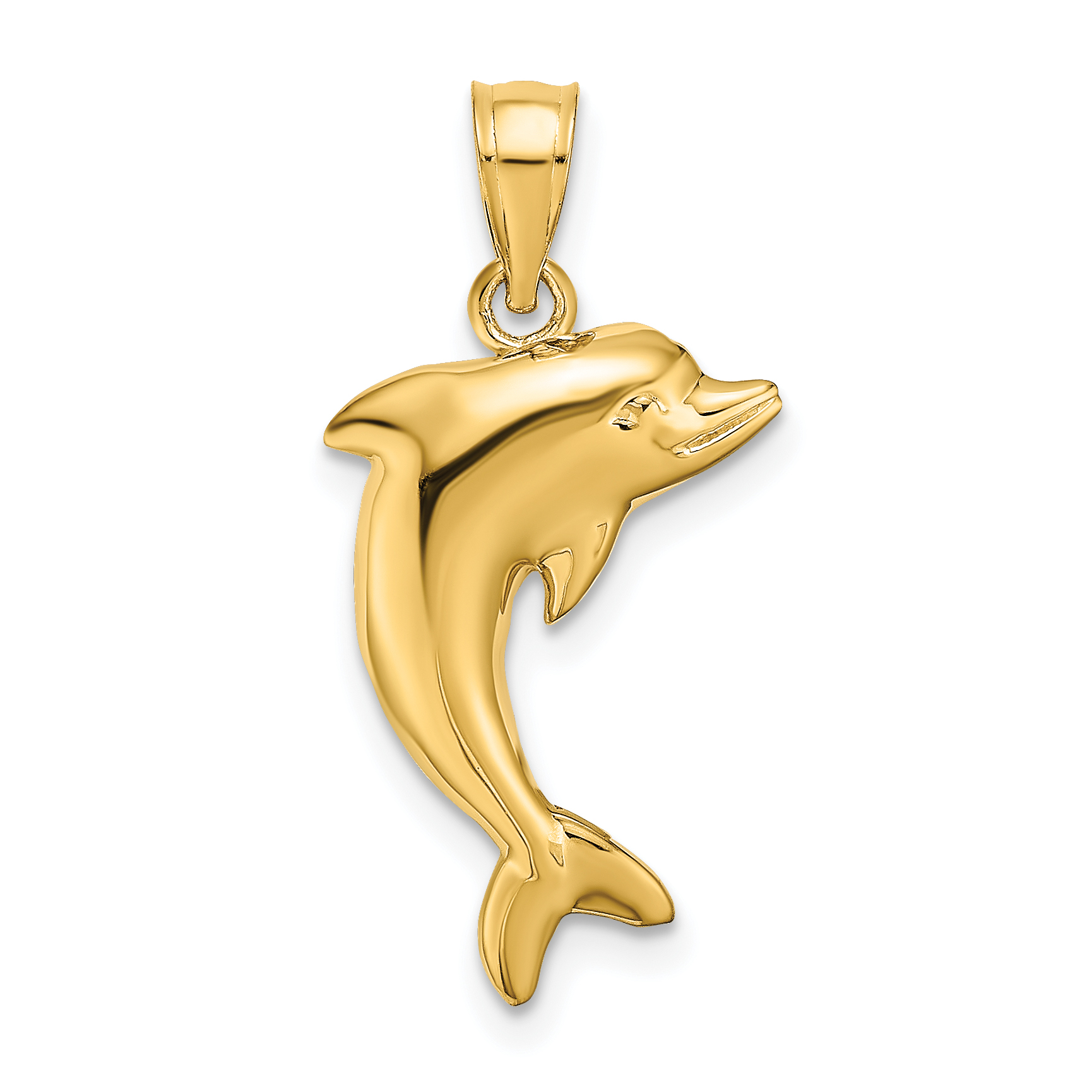 14k Polished Dolphin Charm (K4875)