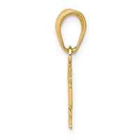 14K Yellow Gold Lpn Licensed Practical Nurse Symbol Pendant view 2