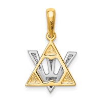 14K Two-tone Star of David Charm with Shin Symbol view 4
