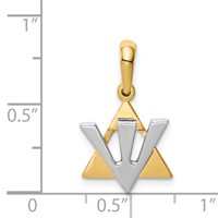 14K Two-tone Star of David Charm with Shin Symbol view 3