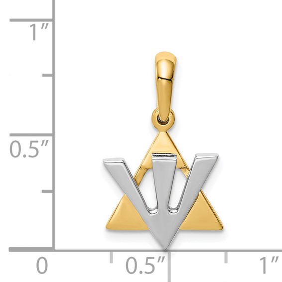 14K Two-tone Star of David with Shin Symbol Charm