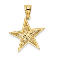 14K Yellow Gold Polished Star Pendant view 3