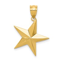 14K Yellow Gold Polished Star Pendant view 1