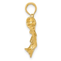 14K Yellow Gold Gold Polished Textured Bass Fish Pendant view 2