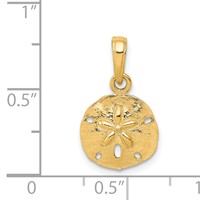 14K Yellow Gold Gold Polished Sand Dollar Pendant view 4