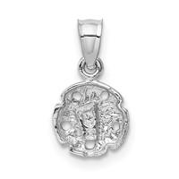 14K White Gold Sand Dollar Pendant view 3