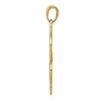 14K Gold Polished and Textured Dollar Sign Pendant view 2