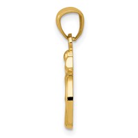 14K Yellow Gold Gold Polished Om Symbol Pendant view 2
