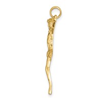14K Yellow Gold Polished Corpus Pendant view 2