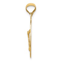 14K Yellow Gold Polished Diamond-cut Corpus Oval Pendant view 2
