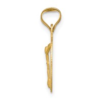 14K Yellow Gold Polished Diamond-cut Corpus Circle Pendant view 2
