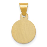 14K with Rose and White Rhodium Diamond-cut Corpus Circle Pendant view 4