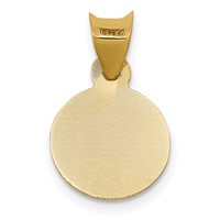 14K Pendant with Rose and White Rhodium Polished Diamond-cut Solid Our Lady of Guadalupe Round view 4