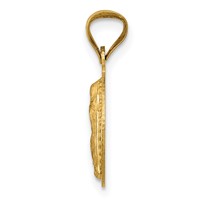 14K Pendant with Rose and White Rhodium Polished Diamond-cut Solid Our Lady of Guadalupe Round view 2