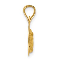 14K Yellow Gold Polished Diamond-cut Semi-solid Our Lady of Guadalupe Round Pendant view 2