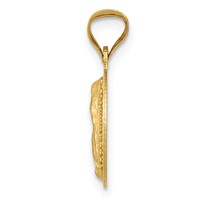 14K Yellow Gold Polished Diamond-cut Semi-solid Our Lady of Guadalupe Round Pendant view 2