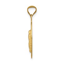 14K Pendant with Rose and White Rhodium Diamond-cut Solid Our Lady of Guadalupe Oval view 2