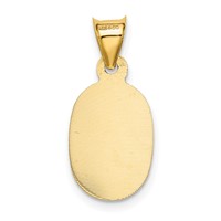 14K Yellow Gold Polished Diamond-cut Semi-solid Our Lady of Guadalupe Oval Pendant view 3