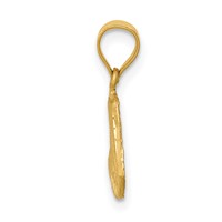 14K Yellow Gold Satin Diamond-cut Virgin Mary Pendant view 2