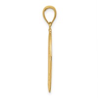 14K Yellow Gold Polished and Satin Hollow Saint Anthony Oval Medal Pendant view 2