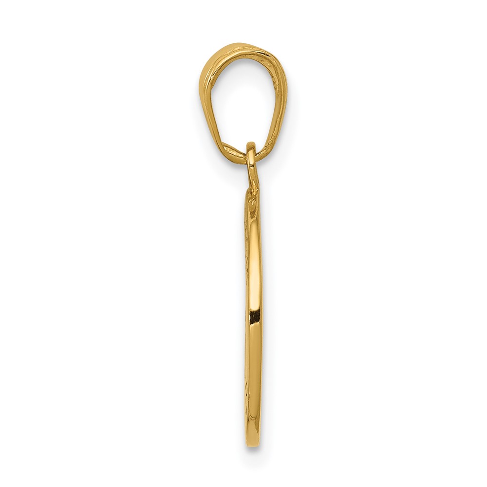14K Gold Satin And Polished Saint Francis Medal Pendant (K5664)