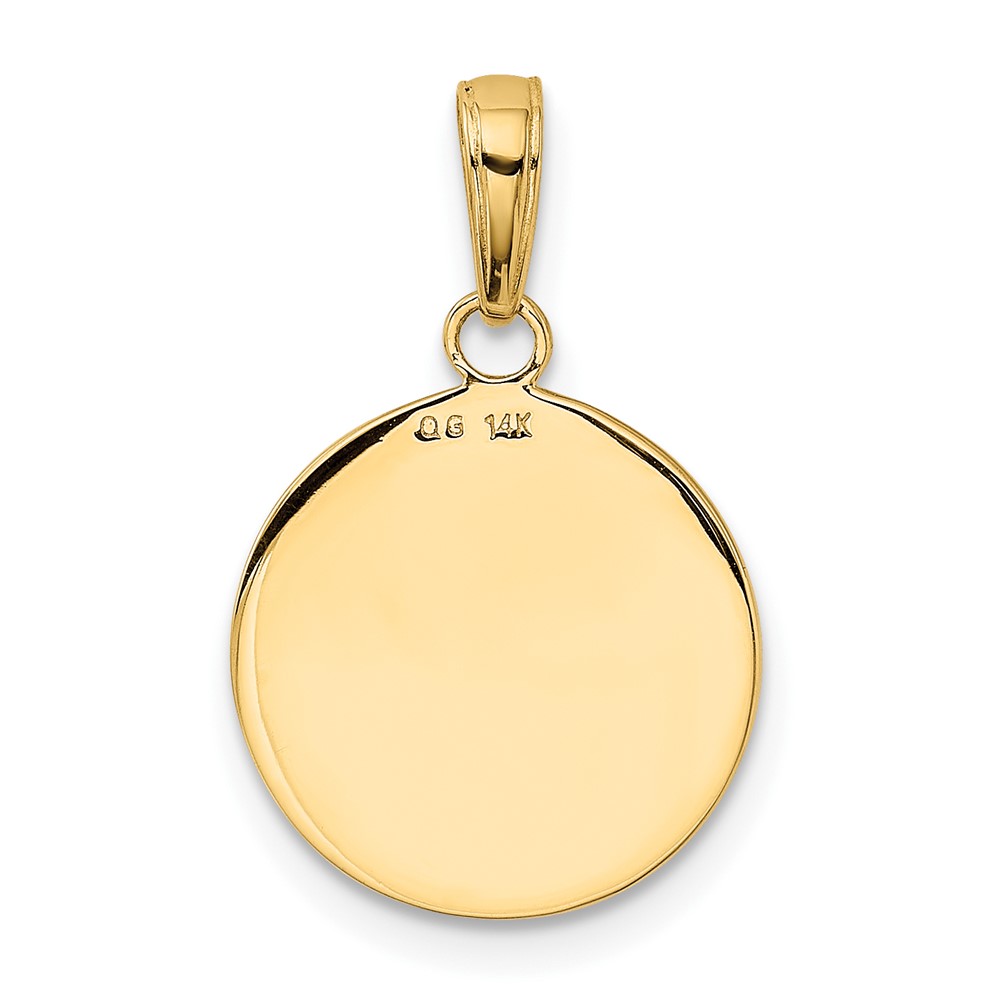 14K Gold Satin And Polished Saint Francis Medal Pendant (K5664)