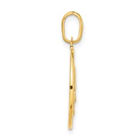 14K Yellow Gold Polished and Satin Papa Francesco Medal Pendant view 2