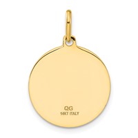 14K Yellow Gold Polished and Satin Papa Francesco Medal Pendant view 4