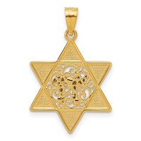 14K Two-tone Gold Polished Star of David Pendant with Chai view 3