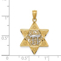 14K Two-tone Gold Polished Star of David Pendant with Chai view 4